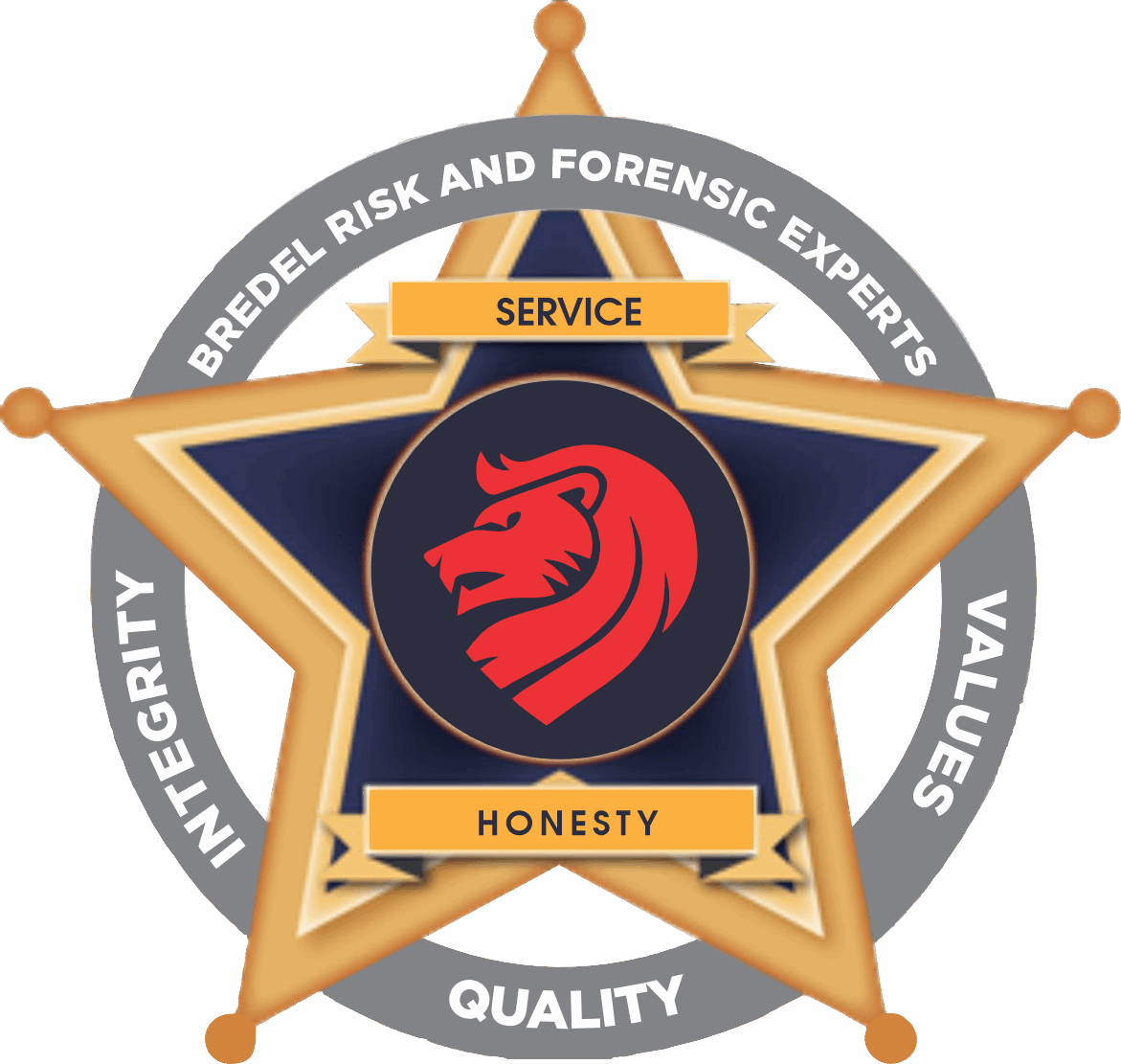 Bredel Risk Forensic Experts